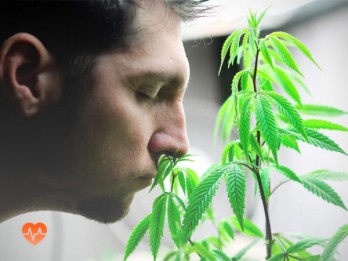 Детоксикация от марихуаны в Медыни